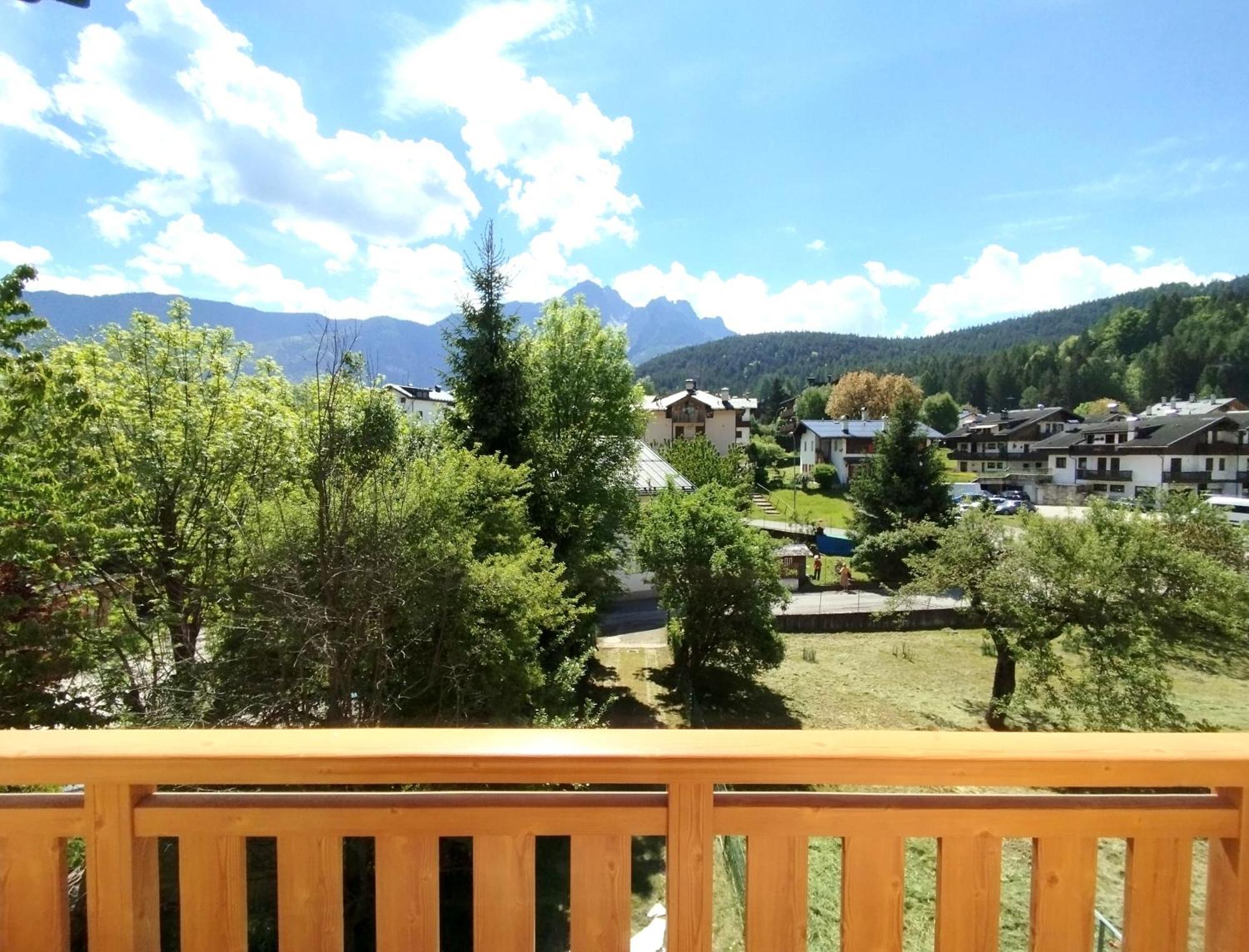 Ciasa De Le Nene - Dolomiti Guesthouse بييفي دي كادوري المظهر الخارجي الصورة